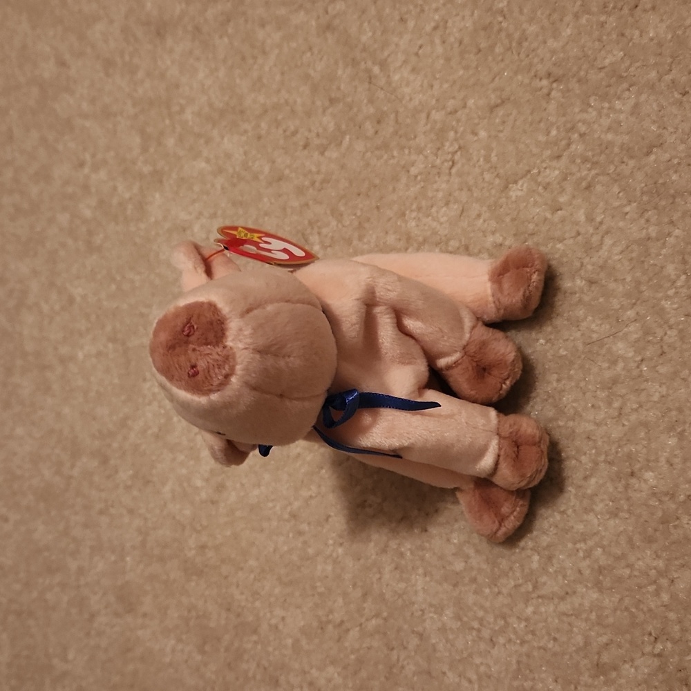Knuckles the pig beanie baby